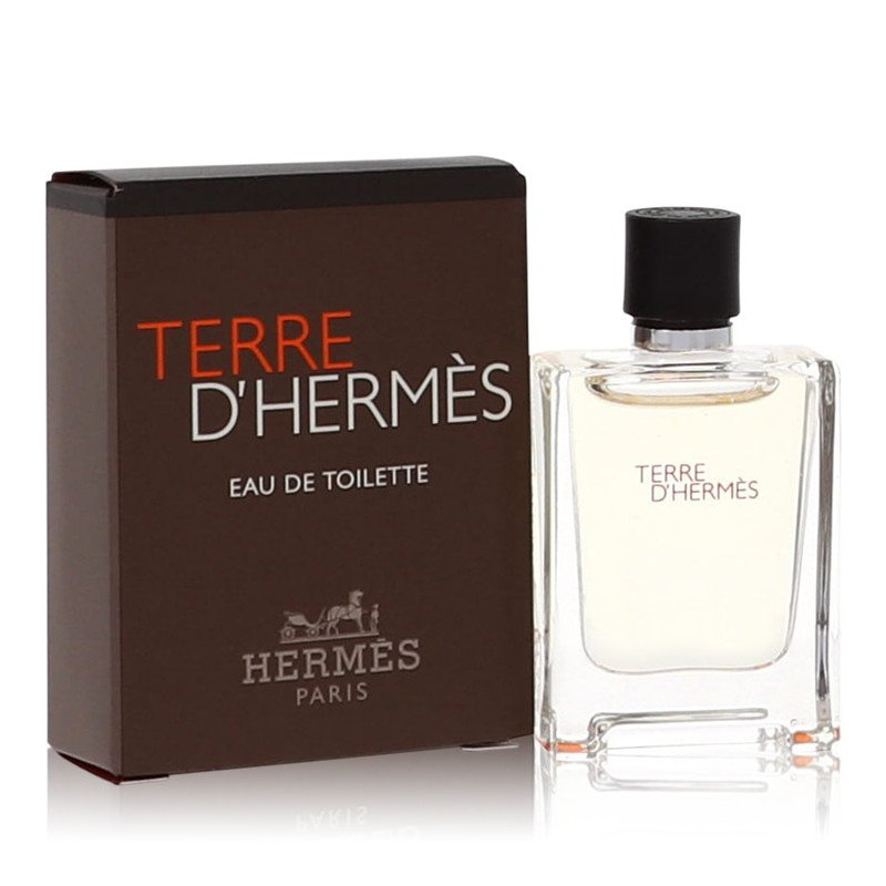 Miniatura Hermés Terre D'Hermés EDT - Imagem 2